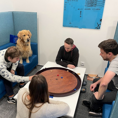 Crokinole